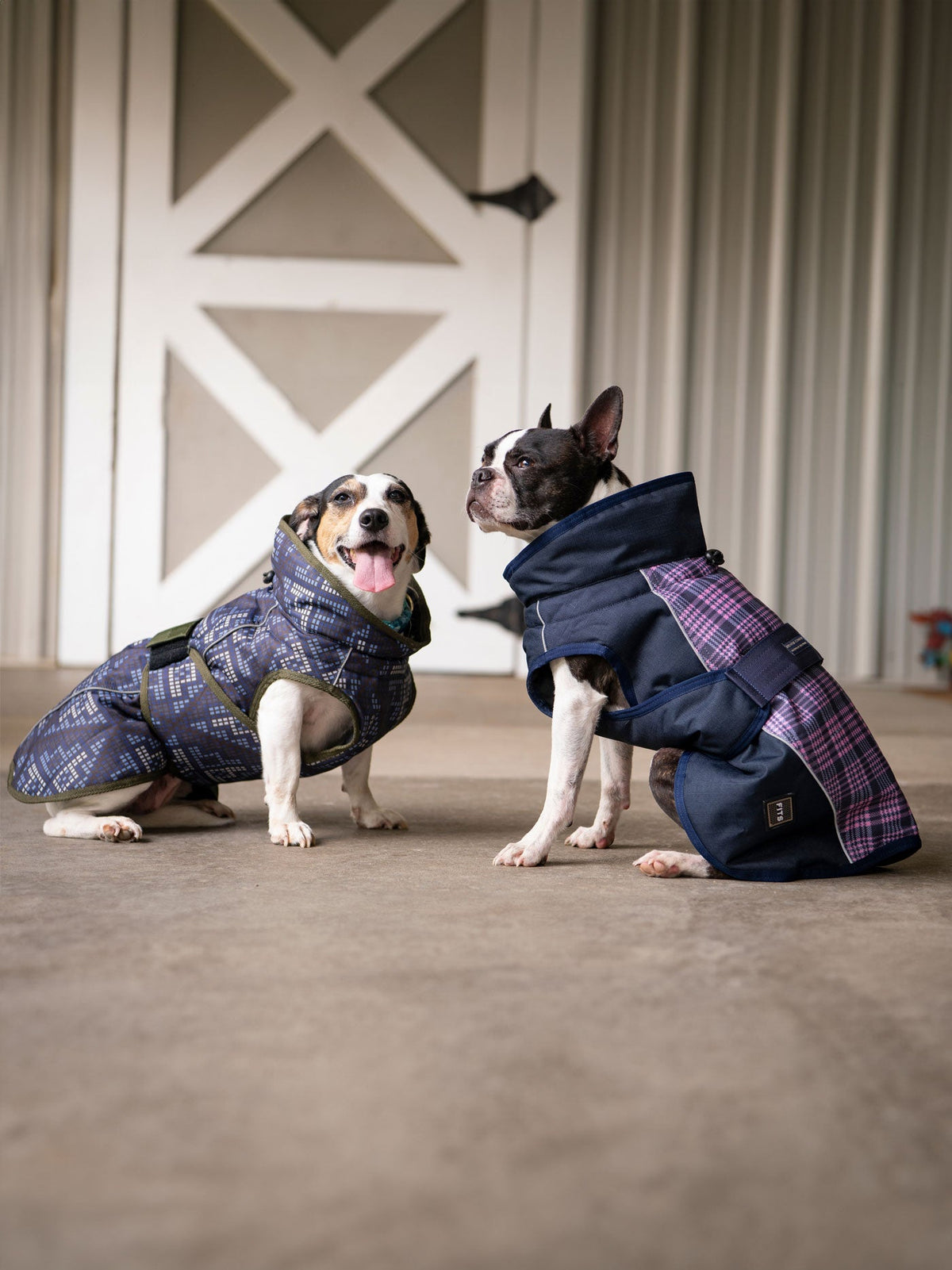 Pet Products