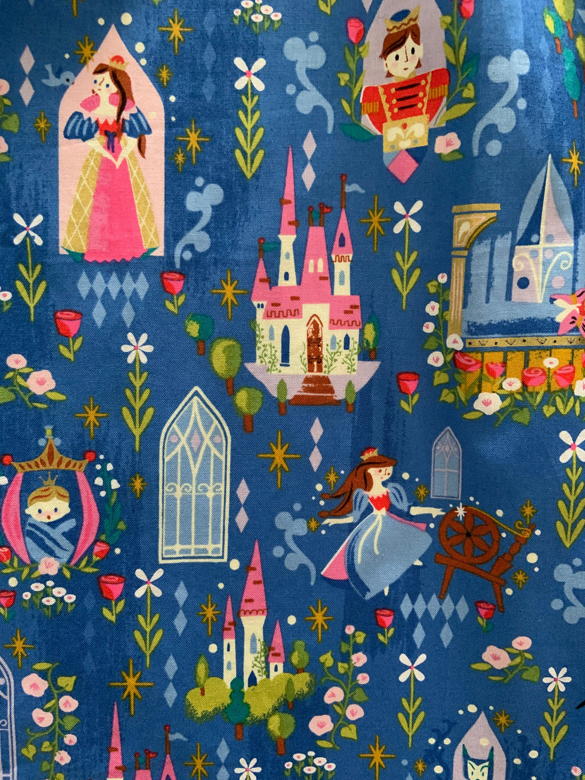 Sleeping Beauty Fit & Flare Dress