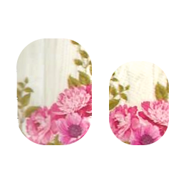 Peony Blooms